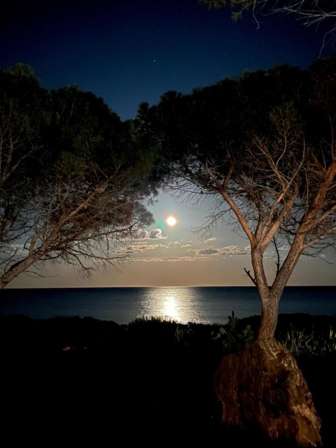 Villa Elma Villaputzu Dış mekan fotoğraf